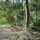 normal_06092011vutrostbergffaktivnews_09.jpg