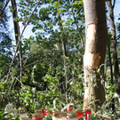 normal_06092011vutrostbergffaktivnews_13.jpg