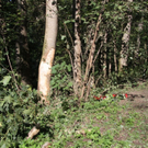 normal_06092011vutrostbergffaktivnews_21.jpg