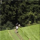 bild361.JPG