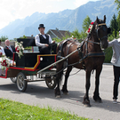 IMG_0437_jpg-1315475864