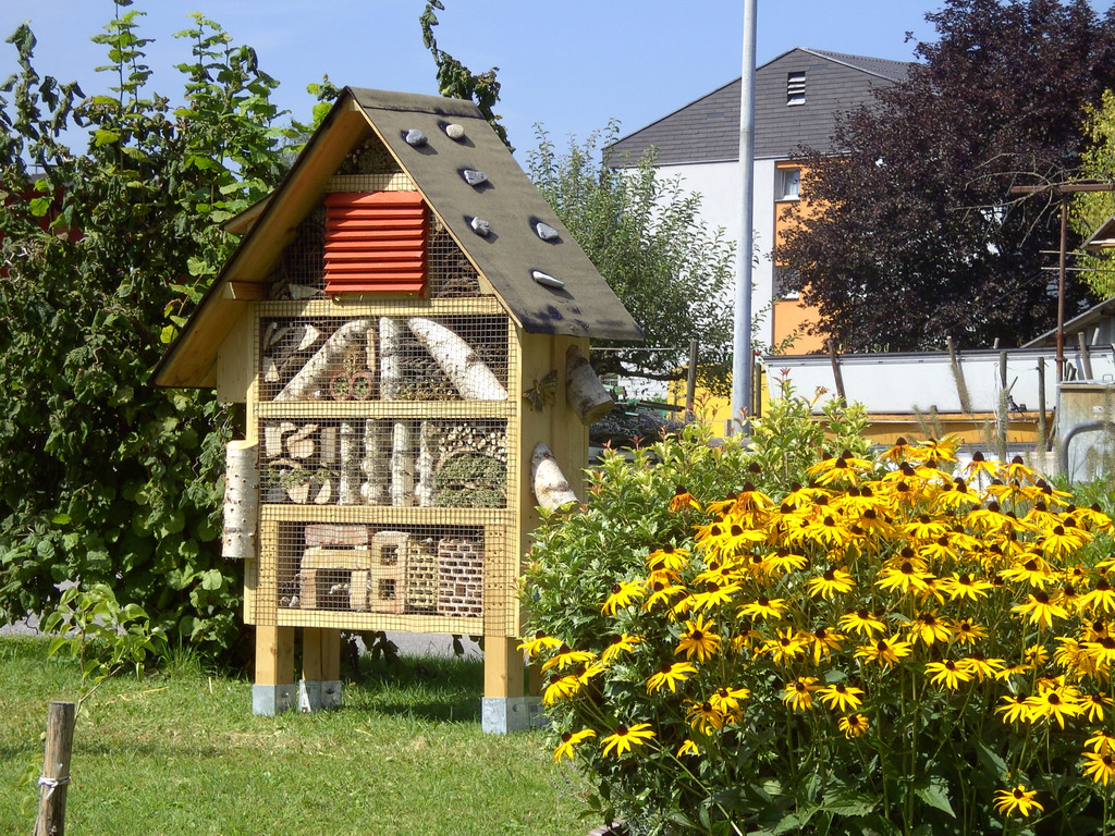 BILD2303_JPG-1315483687