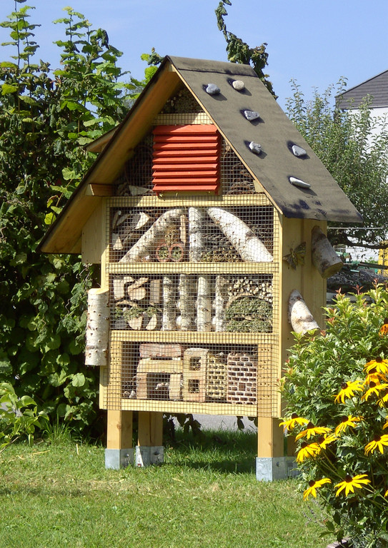 Ohne HF Kopie_jpg-1315484367