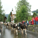 DSC01254_JPG-1315486620