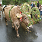 DSC01283_JPG-1315487166