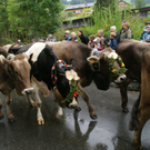DSC01284_JPG-1315487209