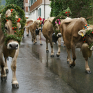 DSC01286_JPG-1315487281