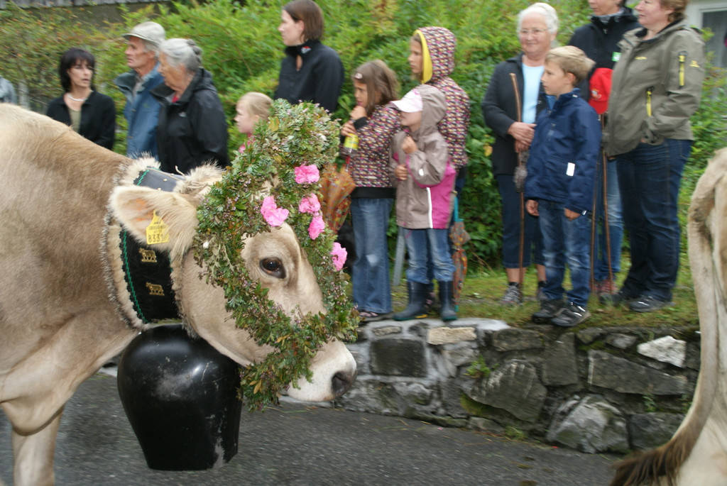DSC01287_JPG-1315487320