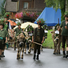 DSC01296_JPG-1315487483