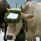 DSC01307_JPG-1315487644