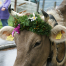 DSC01310_JPG-1315487712