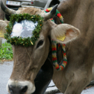 DSC01315_JPG-1315487770
