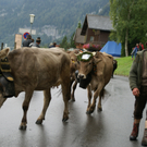DSC01317_JPG-1315487832