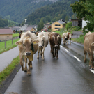 DSC01356_JPG-1315488537