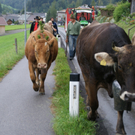 DSC01359_JPG-1315488606