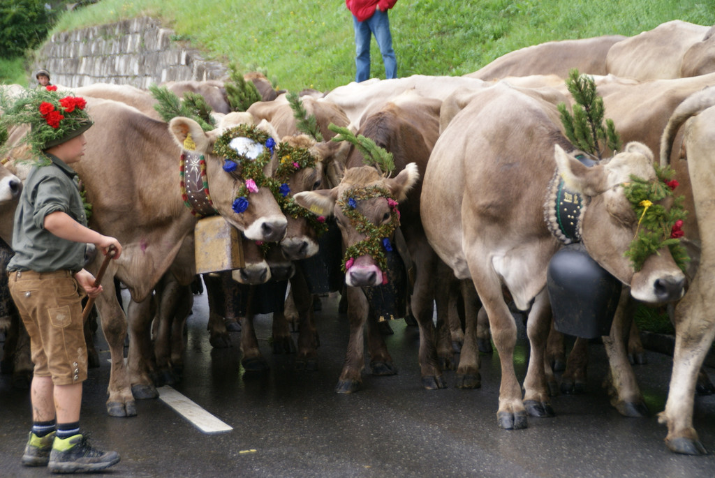 DSC01373_JPG-1315488943