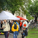 normal_08092011fmt_italienischermarkt_mw_06.jpg