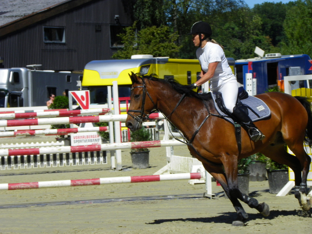 112_4168_JPG-1315516759