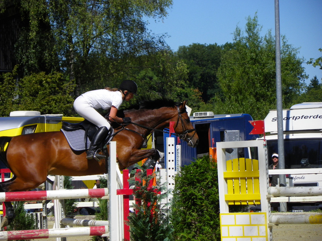 112_4169_JPG-1315516769