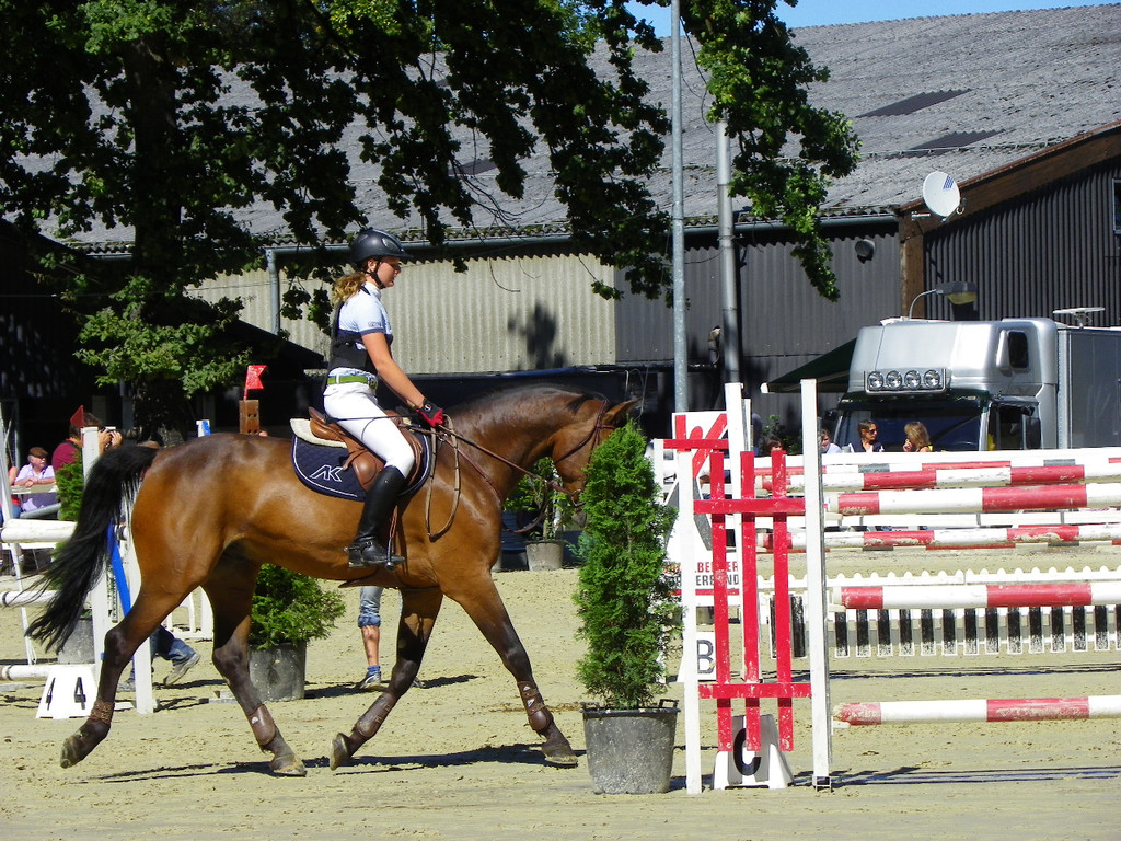 112_4170_JPG-1315516779