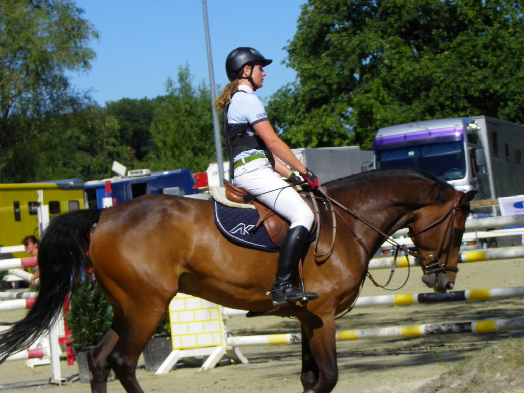 112_4180_JPG-1315516796