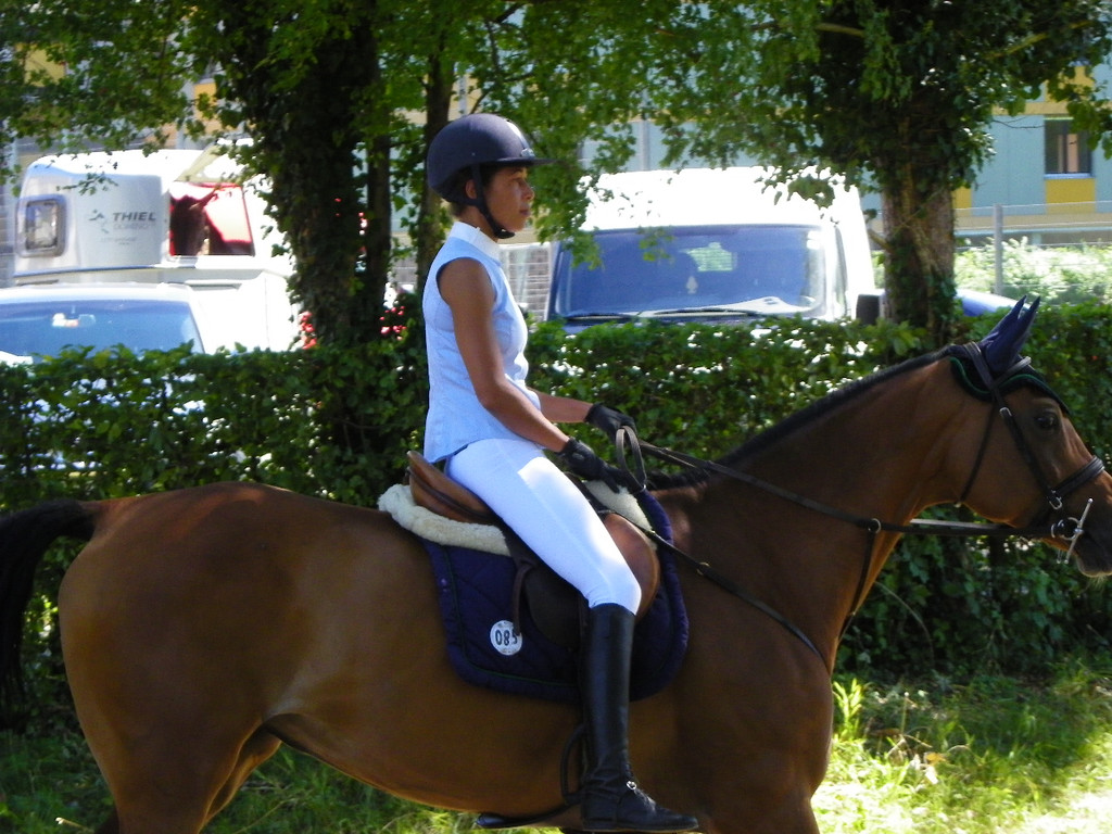 112_4183_JPG-1315516816