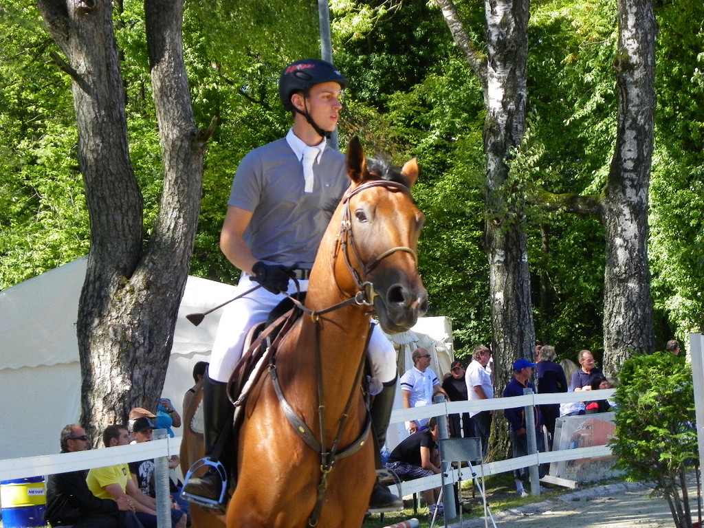 112_4184_JPG-1315516826