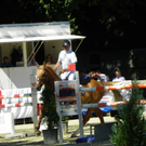 112_4185_JPG-1315516834