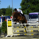 112_4187_JPG-1315516844