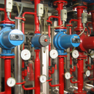 IMG_1151_JPG-1315518536