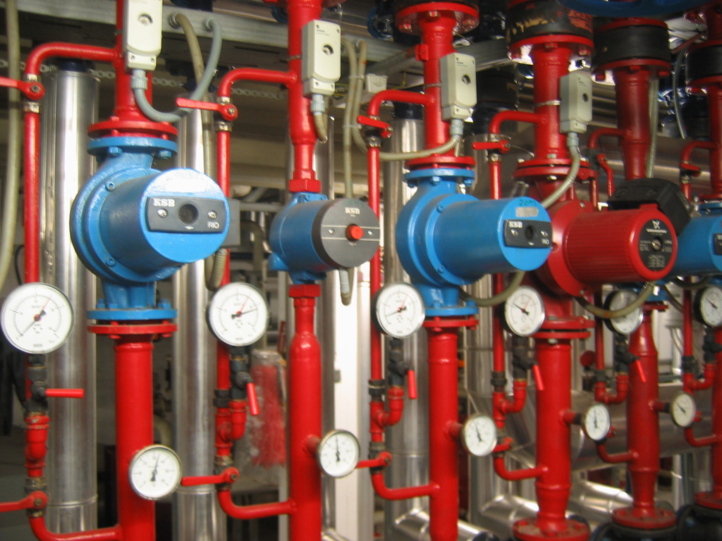 IMG_1151_JPG-1315518536