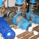 IMG_1191_JPG-1315518653