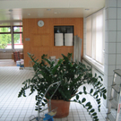 IMG_1172_JPG-1315518583