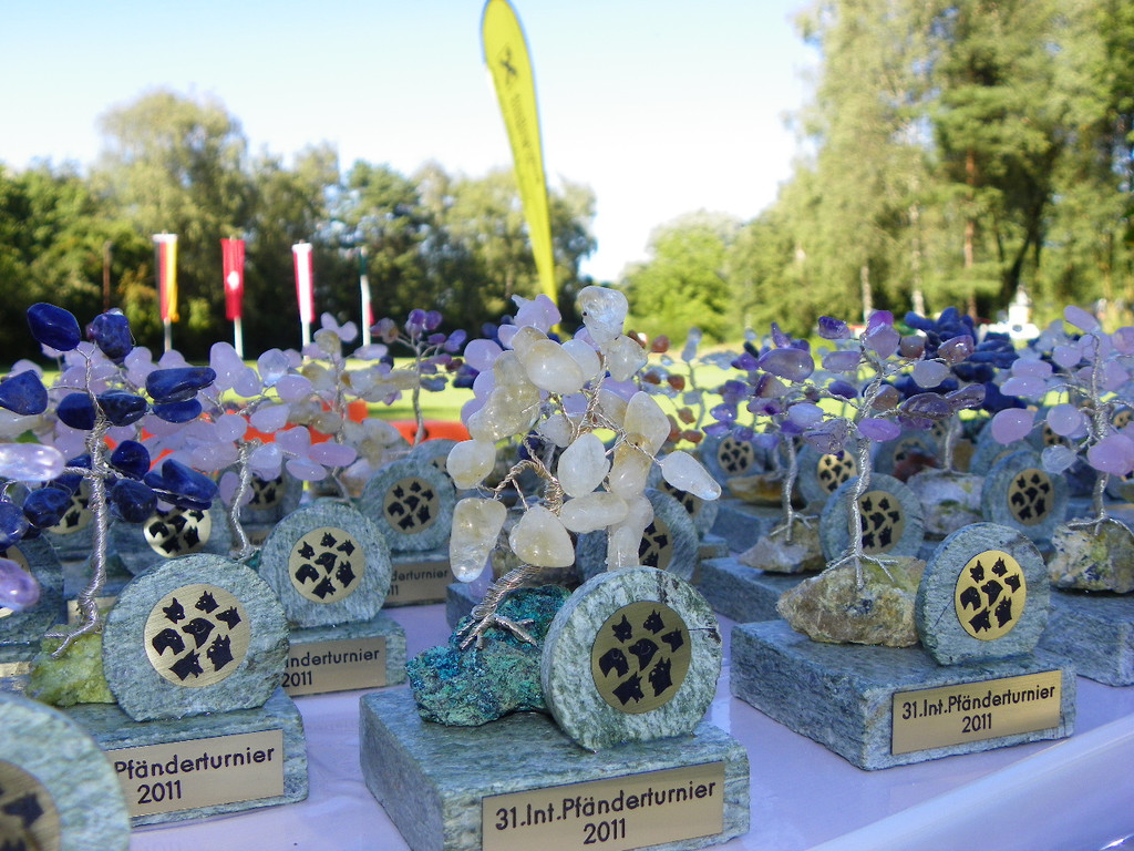 112_4287_JPG-1315520840