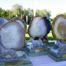 112_4288_JPG-1315520848