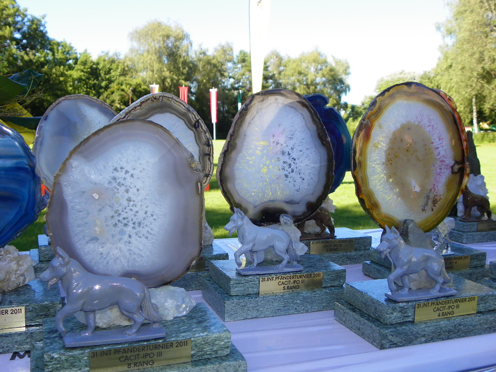 112_4288_JPG-1315520848