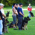 112_4314_JPG-1315520951