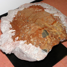 112_4394_JPG-1315527113