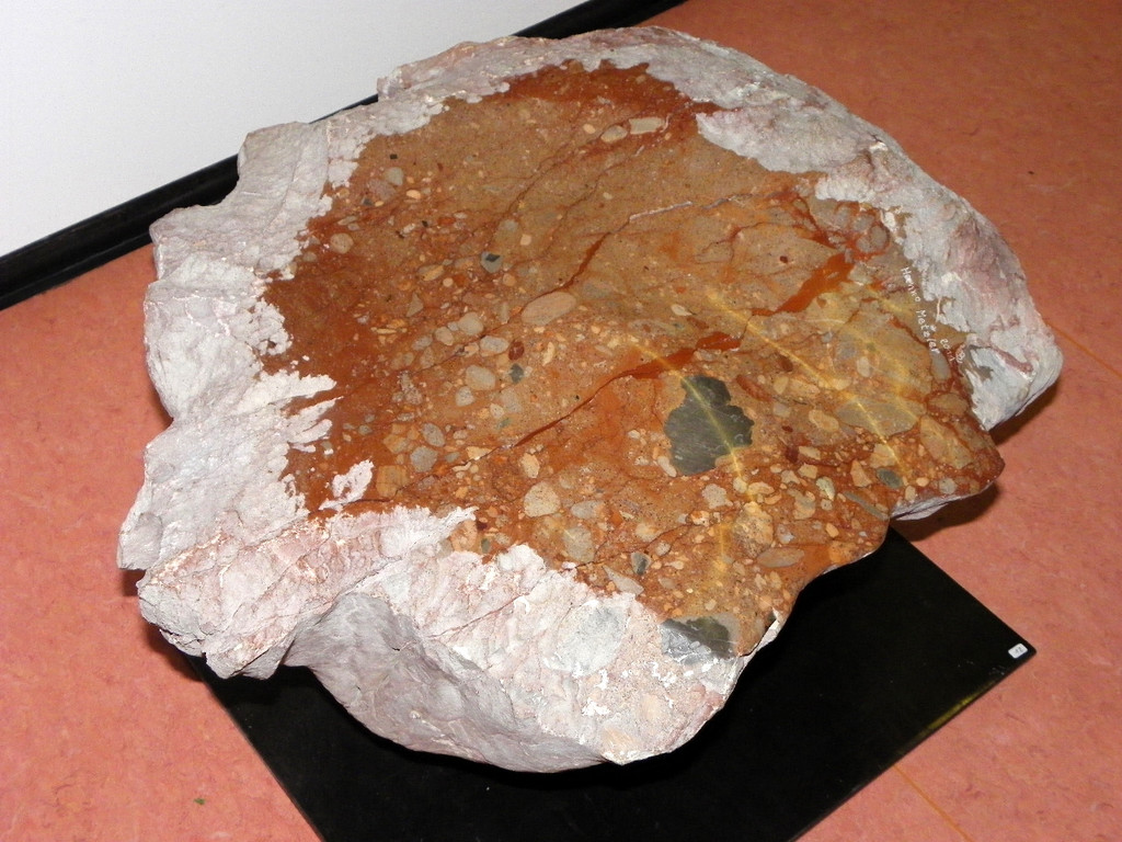 112_4394_JPG-1315527113