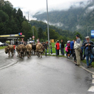 IMG_5680_JPG-1315547688
