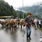 IMG_5681_JPG-1315547690