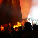 IMG_8294_JPG-1315644875.jpg