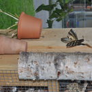 Insektenhotel19.jpg