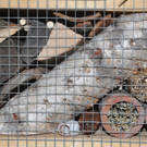 Insektenhotel26.jpg