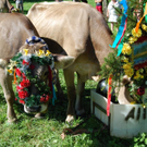 DSC_0624.JPG