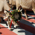DSC_0640.JPG