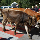 DSC_0645.JPG