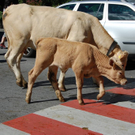 DSC_0653.JPG