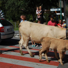 DSC_0654.JPG