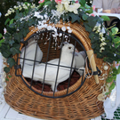 DSC03846.JPG